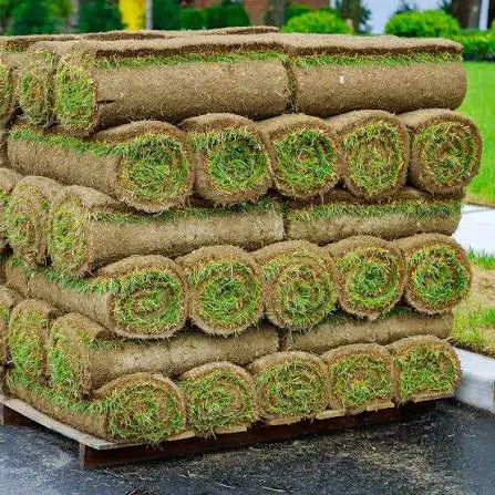 Expert Sod Installation Team