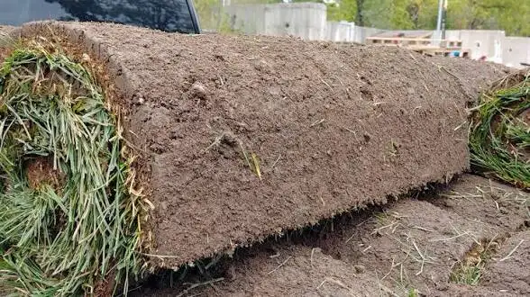 Expert Sod Installation Team - Photo 4