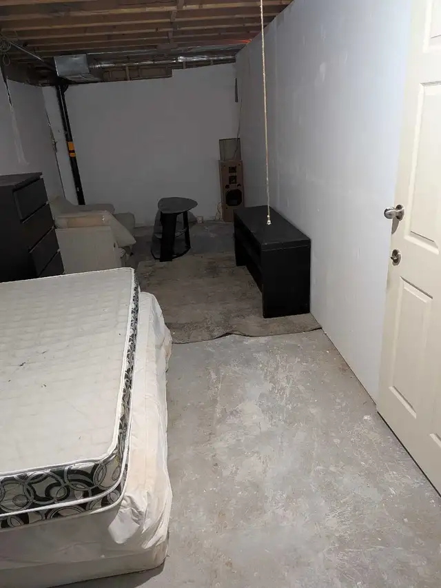 Newly Finished Basement Apartment
