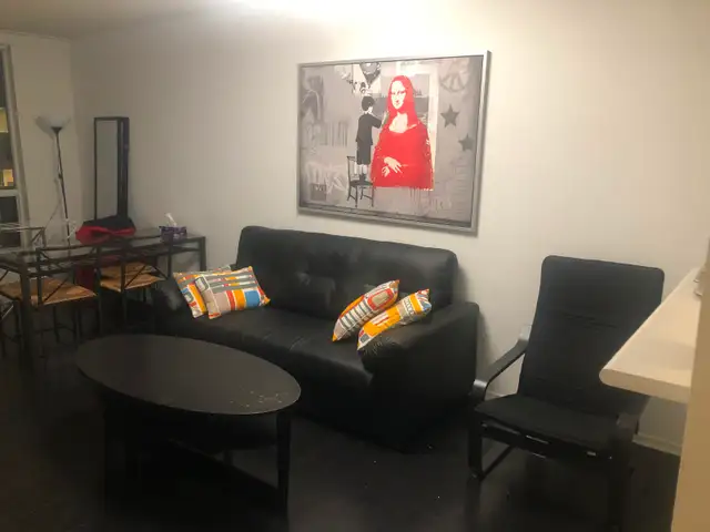 Furnished Master Bedroom for Rent - DT Toronto - Photo 7