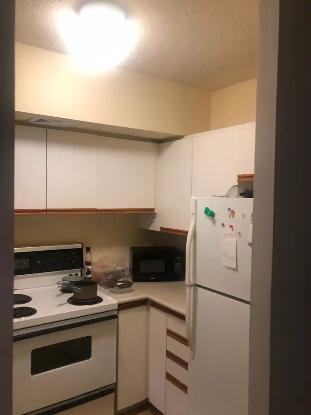 Furnished Master Bedroom for Rent - DT Toronto - Photo 9