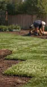 Professional Sod Laying Service