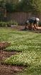 Professional Sod Laying Service