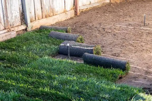 Fast Sod Installation Team