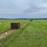 Instant Green Lawn Sod Install