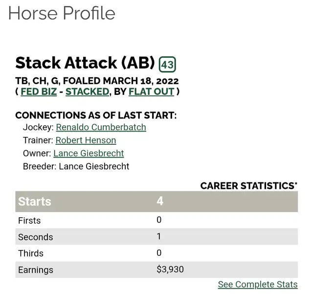 2022 OTTB Gelding - Photo 5