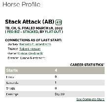 2022 OTTB Gelding - Photo 5