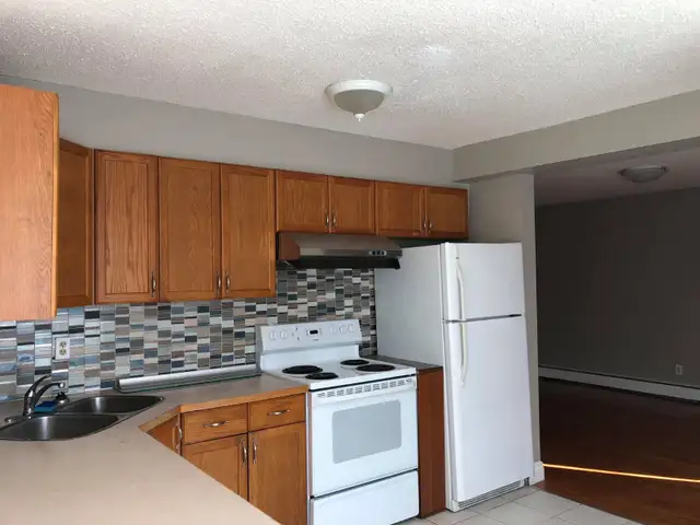 Crescent Heights Apartment - Looking for Female Roommate - Photo 5