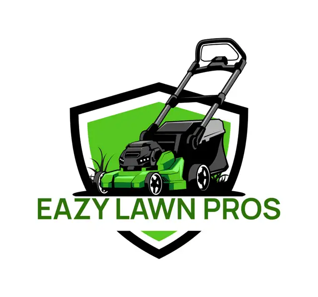 Spring Cleanup Special  Fast, Affordable & Professional