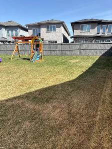 Spring Cleanup Special  Fast, Affordable & Professional - Photo 2