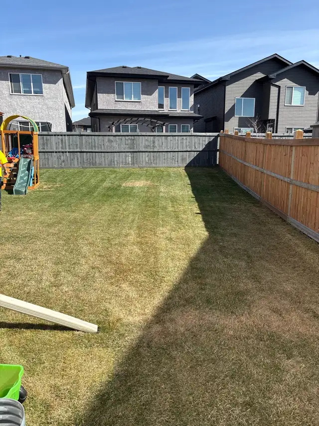 Spring Cleanup Special  Fast, Affordable & Professional - Photo 3