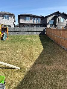 Spring Cleanup Special  Fast, Affordable & Professional - Photo 3