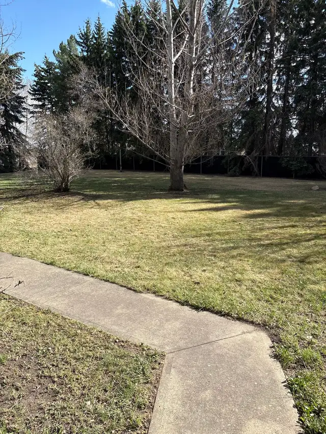Spring Cleanup Special  Fast, Affordable & Professional - Photo 5
