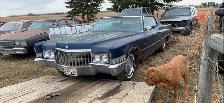 1970 Cadillac Coupe