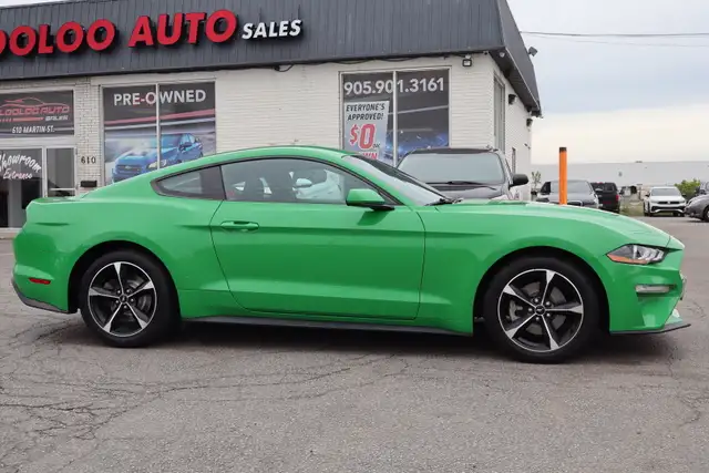 2019 Ford Mustang