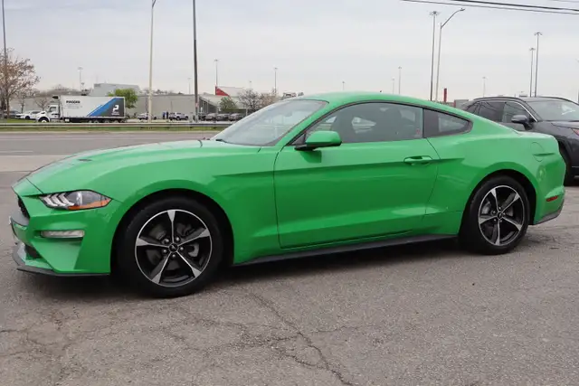 2019 Ford Mustang - Photo 3