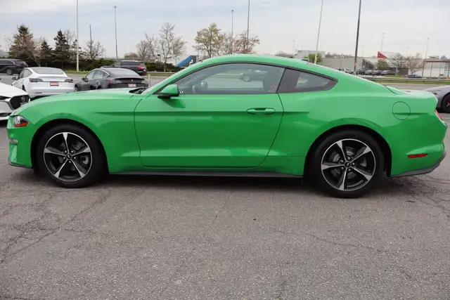 2019 Ford Mustang - Photo 4