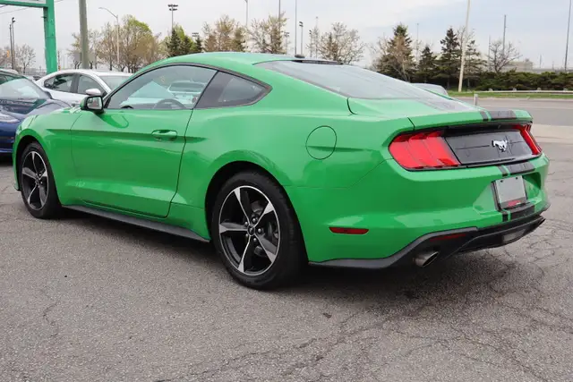 2019 Ford Mustang - Photo 5