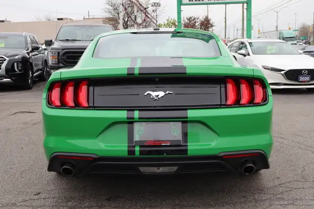 2019 Ford Mustang - Photo 6
