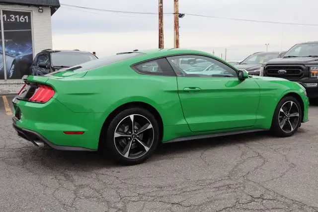 2019 Ford Mustang - Photo 7