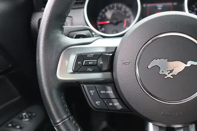 2019 Ford Mustang - Photo 10