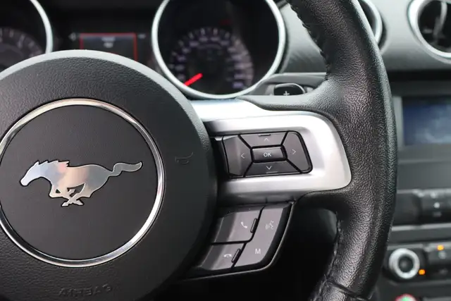 2019 Ford Mustang - Photo 11