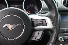 2019 Ford Mustang - Photo 11