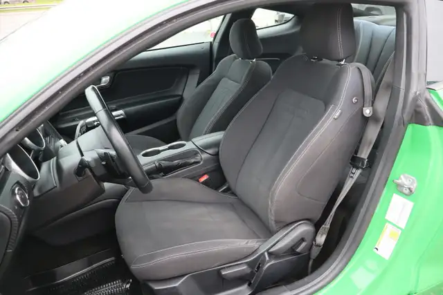 2019 Ford Mustang - Photo 12