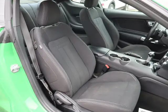 2019 Ford Mustang - Photo 15