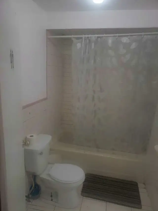 private room for rent / shared basement - Photo 7