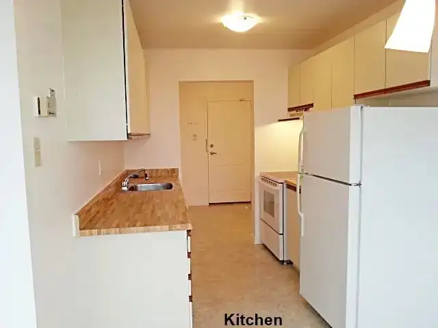 One Bedroom High Rise Condo Rental Unit Available July 15 - Photo 3