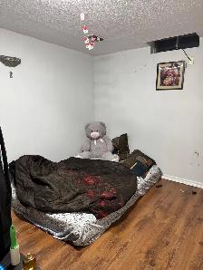 2 bedroom basement for rent - Photo 3