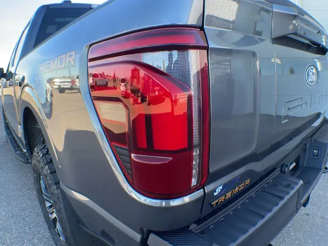 2026 Ford F-150 Tremor 402A - Photo 12