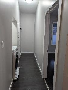 Charming 1-Bedroom Main-Floor Apartment – Downtown Kitchener - Photo 4