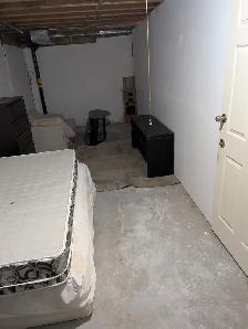 1000sqft - Newly renovated basement apartment (Guelph)