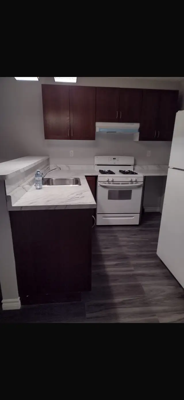 3 bedroom house for rent - Photo 3