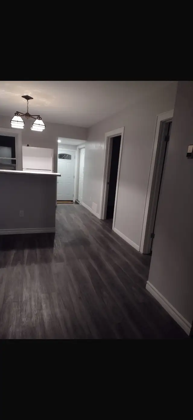 3 bedroom house for rent - Photo 4