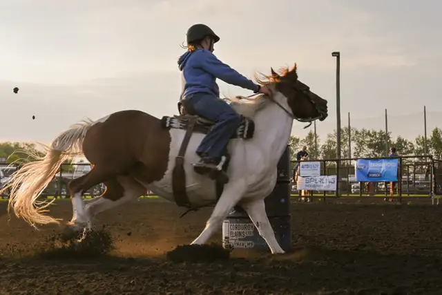 Step Up Youth Pony - Photo 2