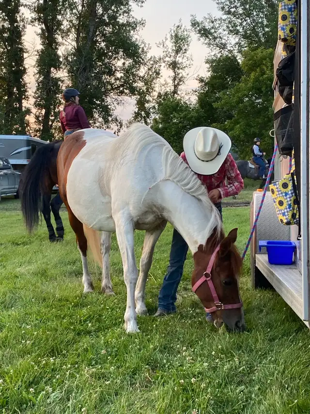 Step Up Youth Pony - Photo 3