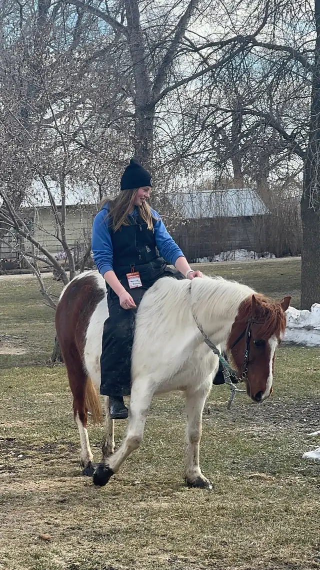 Step Up Youth Pony - Photo 4