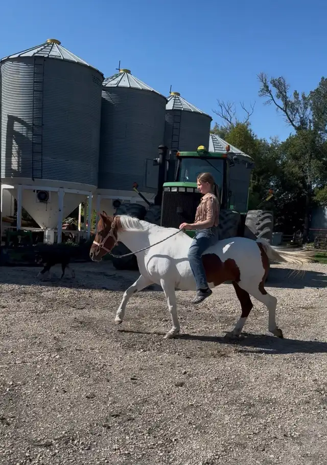Step Up Youth Pony - Photo 5