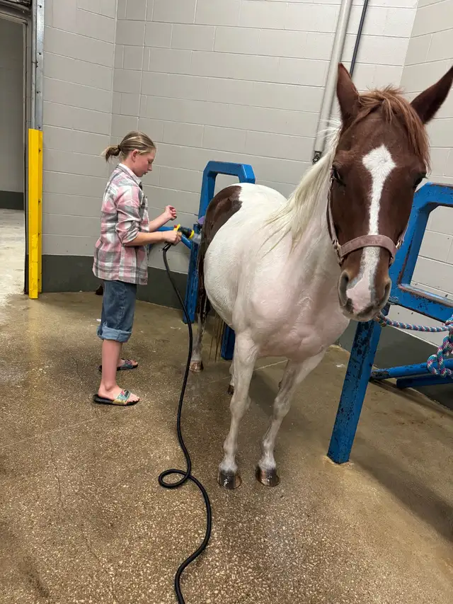 Step Up Youth Pony - Photo 6