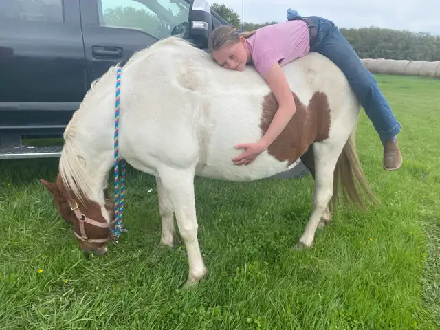 Step Up Youth Pony - Photo 9