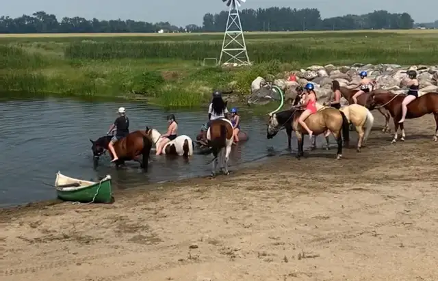 Step Up Youth Pony - Photo 10