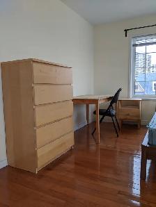 Large Room/Private Bath/Balcony/Parking @York University Village - Photo 4