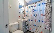 Jul 1st Halifax - one-bed/one-bath, ensuite laundry, AC, parking - Photo 6