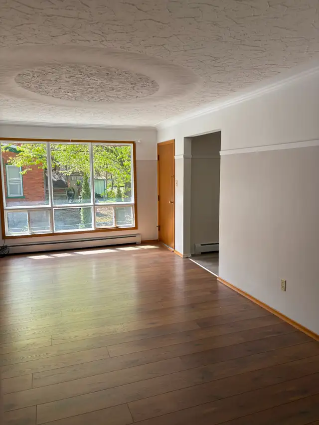 Two Bedroom, great location - Photo 4