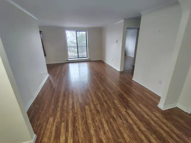 Starbury Tower- Largest Apartments in Sudbury- By 4 Corners! - Photo 2