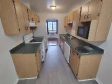 Starbury Tower- Largest Apartments in Sudbury- By 4 Corners! - Photo 4