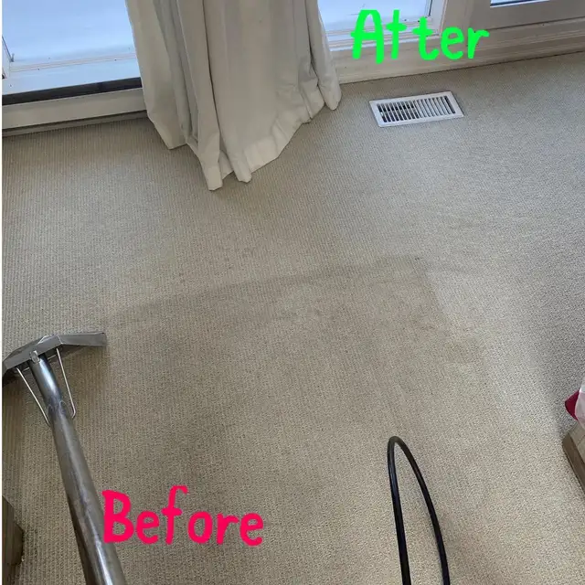 Perfect House Carpet.Rugs and Couch_Cleaning - Photo 5
